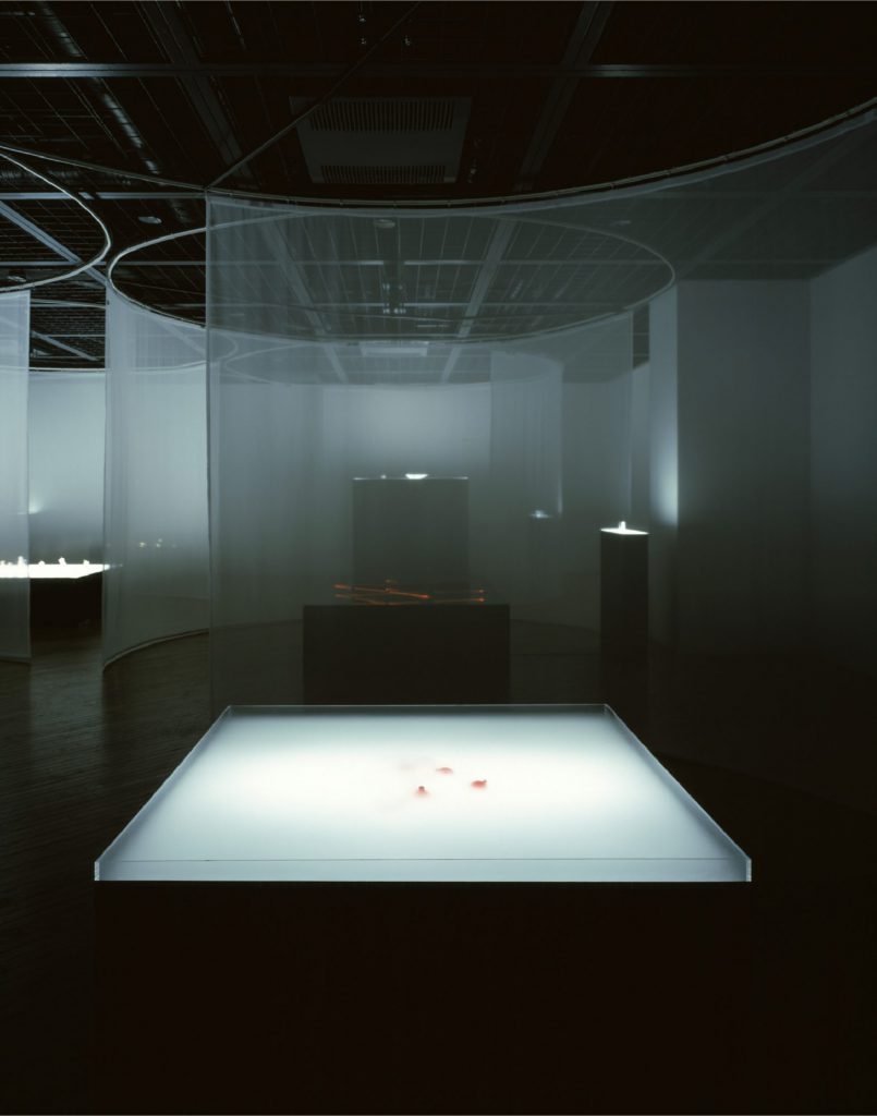 PERFUME X PERFORM CURIOSITY