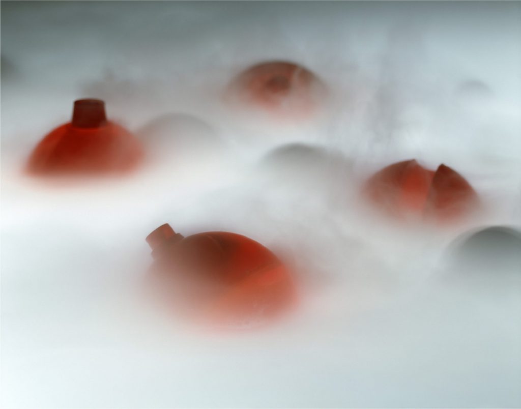 PERFUME X PERFORM CURIOSITY