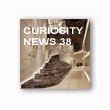 CURIOSITY NEWS 38