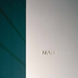 Mars the Salon